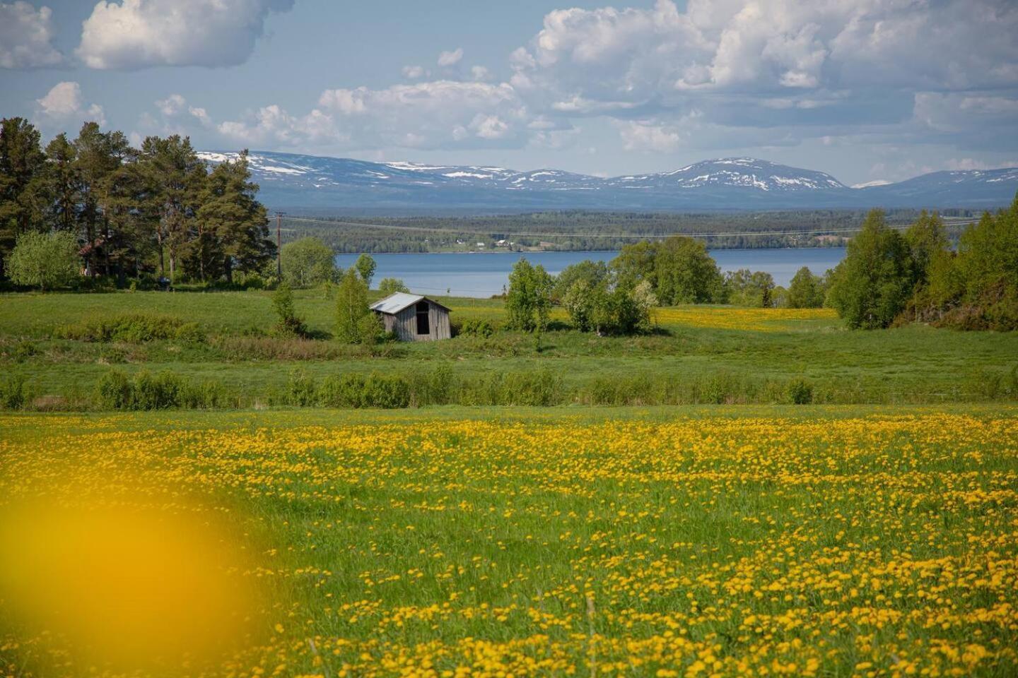 Cozy Mountain View Apartment Orrviken Exteriér fotografie